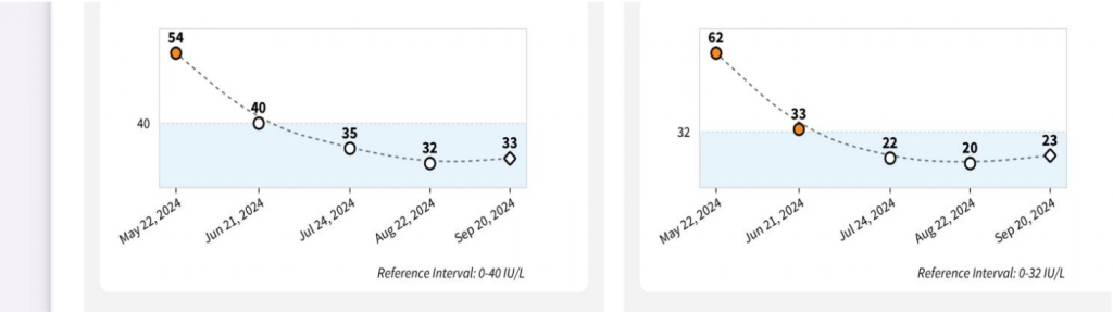 Two graphs showing an decrease in AST and ALT enzymes after two months of herbal treatment